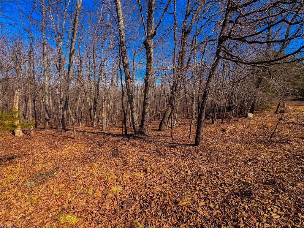 863 Sierra Trace Road Denton, NC 27239 - Photo 7 of 37