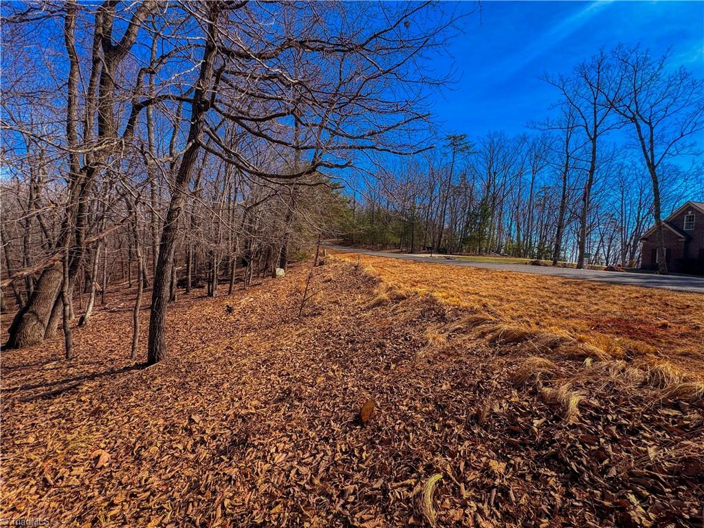 863 Sierra Trace Road Denton, NC 27239 - Photo 8 of 37