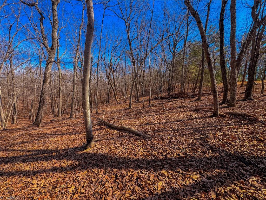 863 Sierra Trace Road Denton, NC 27239 - Photo 9 of 37