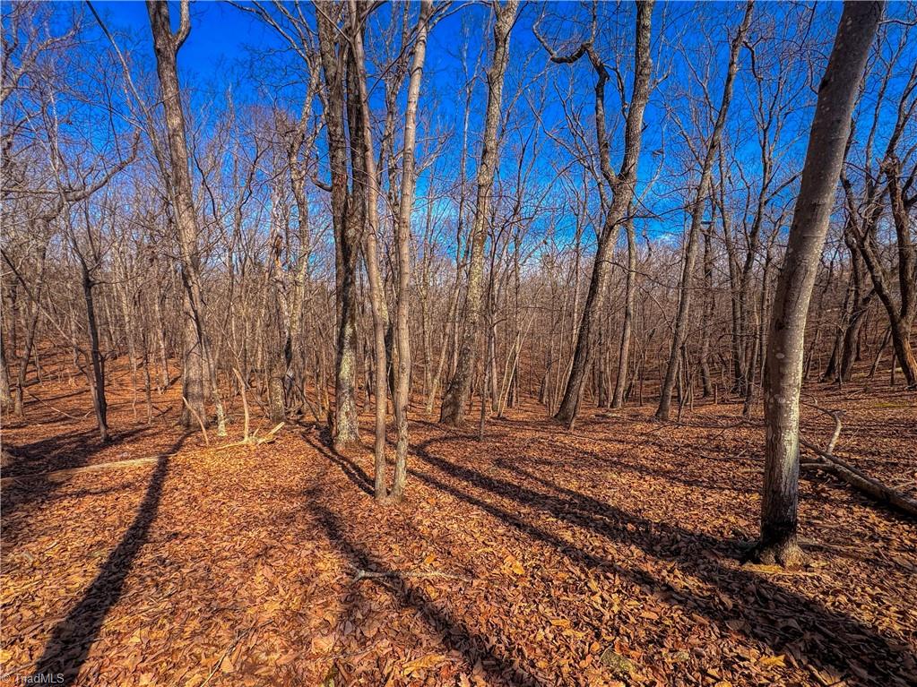 863 Sierra Trace Road Denton, NC 27239 - Photo 10 of 37