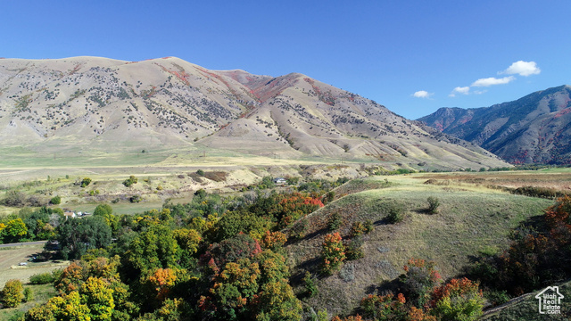 Bird's eye view of the natural barrier of the property