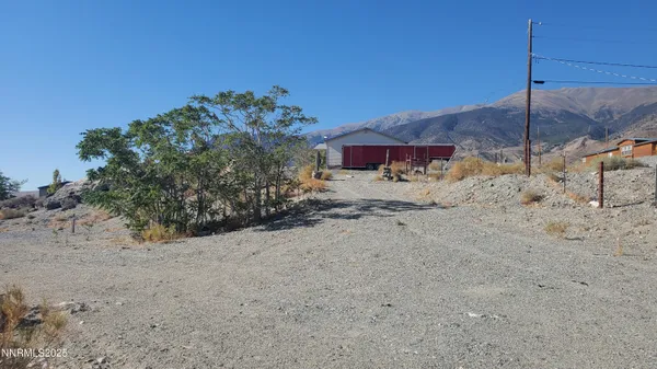a view of a dry yard with a tree