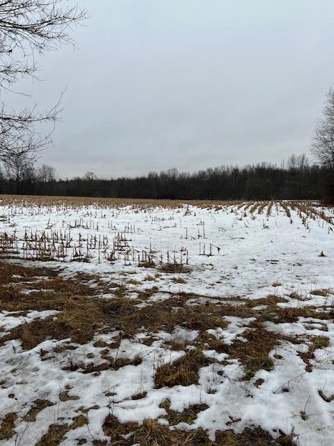 0 East Baker Road Hesperia, MI 49421 - Photo 3 of 15 IMG_0010