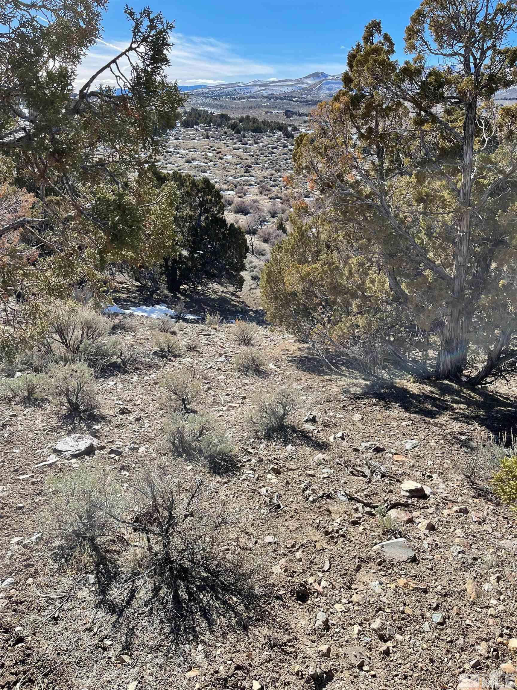 0 Mask Lane, Unit 29 Reno, NV 89508 - Photo 8 of 13 Photo 8