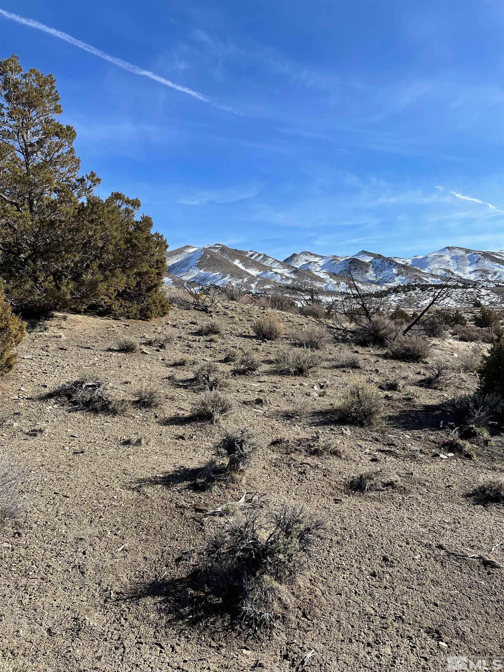 0 Mask Lane, Unit 29 Reno, NV 89508 - Photo 9 of 13 Photo 9