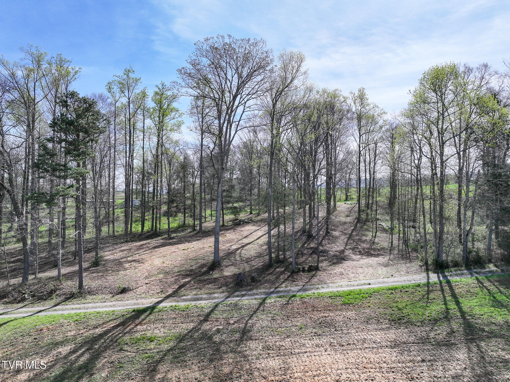 190 Treadway Road Chuckey, TN 37641 - Photo 14 of 34 DJI_20260406094342_0407_D