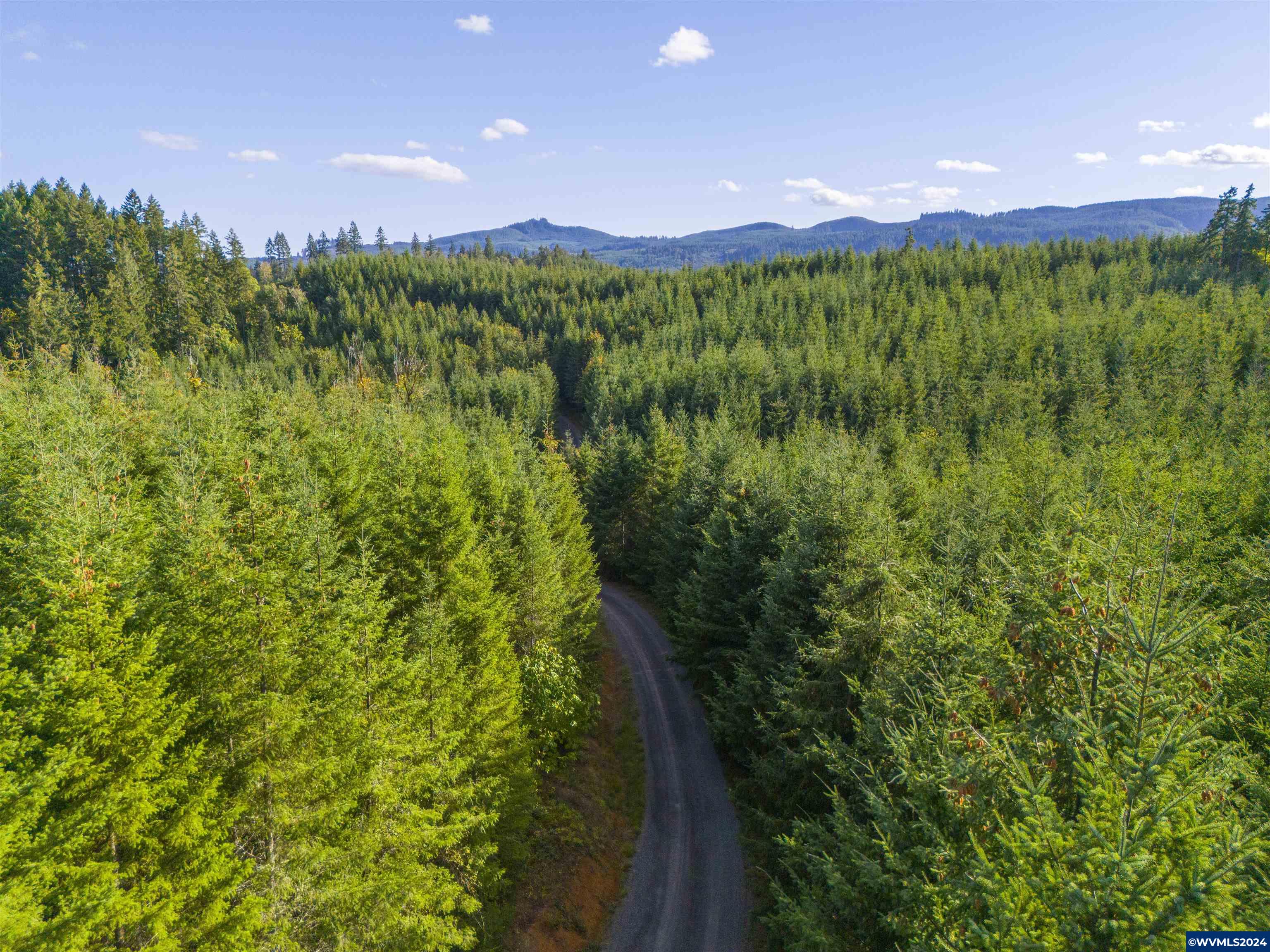0 Northwest Meadowlake Road Yamhill, OR 97148 - Photo 10 of 14