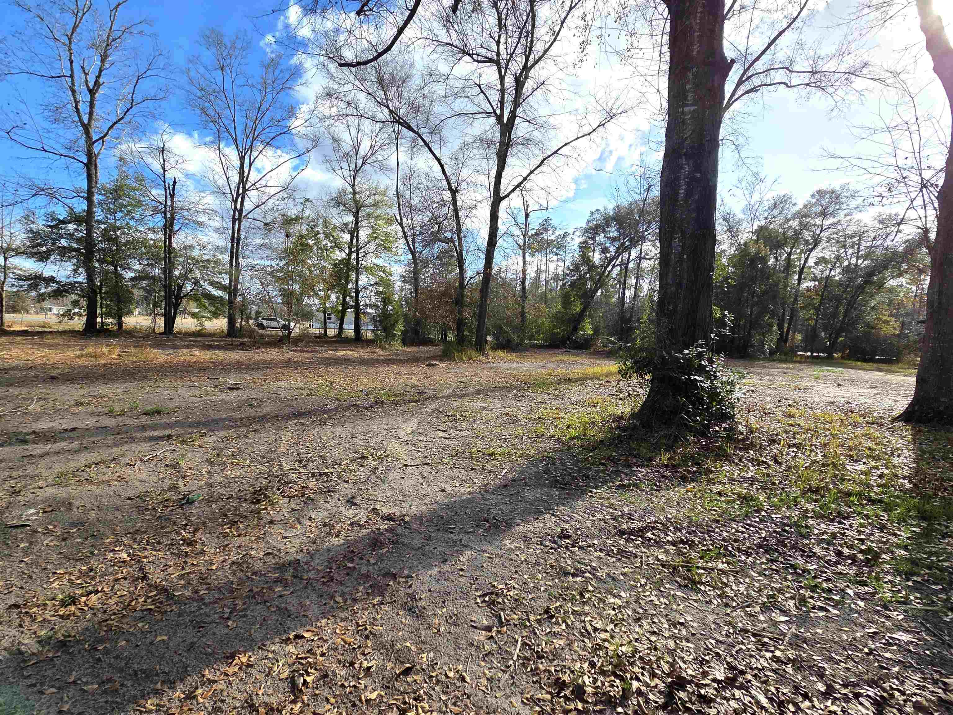 12112 Highway 20 Bristol, FL 32321 - Photo 28 of 49