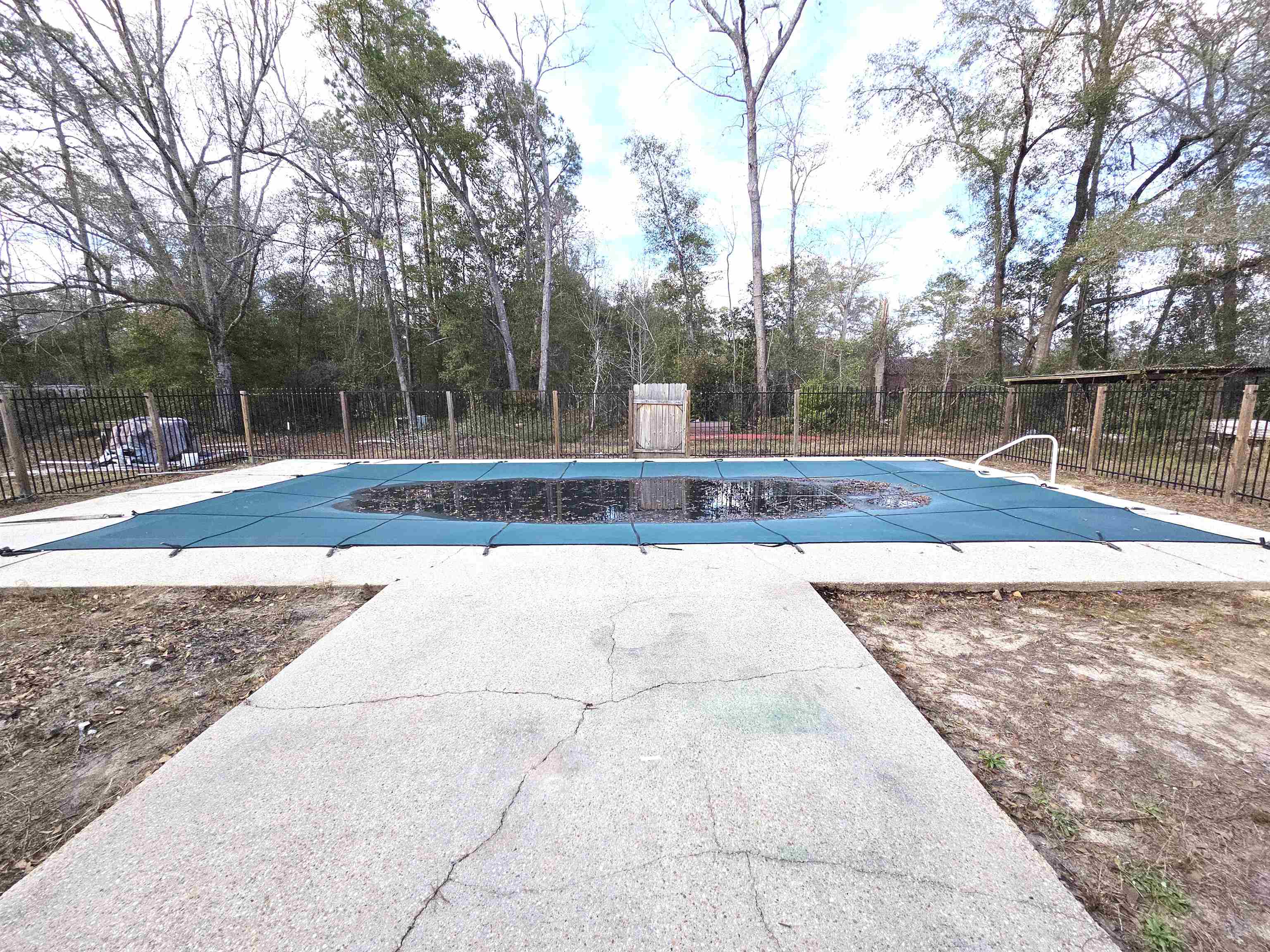 12112 Highway 20 Bristol, FL 32321 - Photo 34 of 49