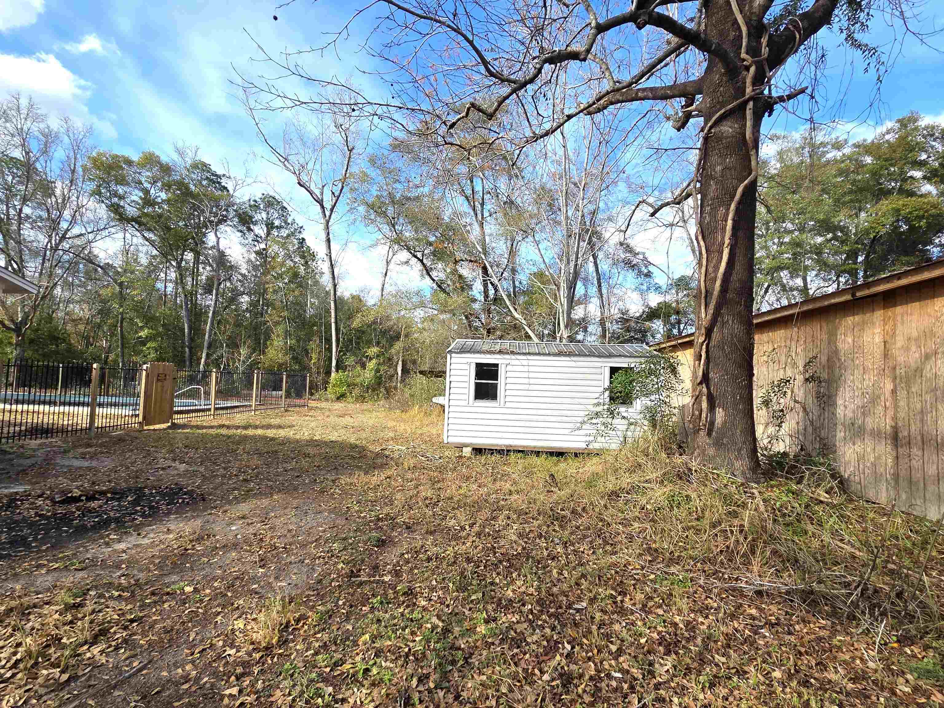 12112 Highway 20 Bristol, FL 32321 - Photo 35 of 49