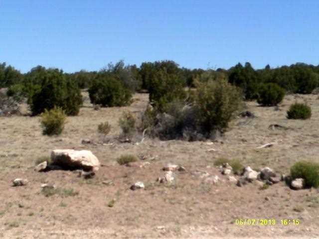 Lot 12 Windsor Valley Ranch Concho, AZ 85924 - Photo 2 of 7