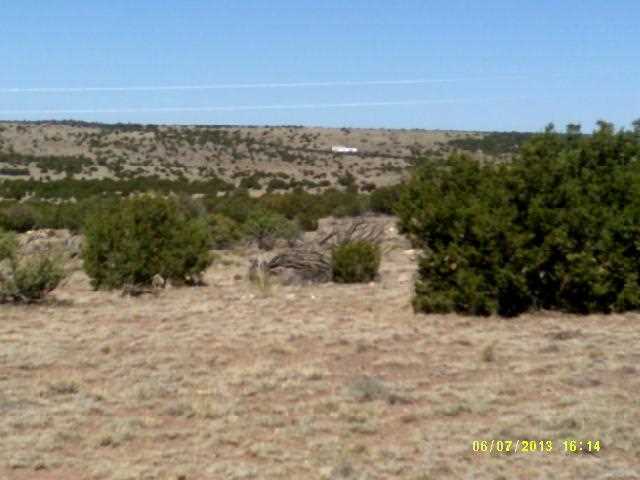 Lot 12 Windsor Valley Ranch Concho, AZ 85924 - Photo 3 of 7