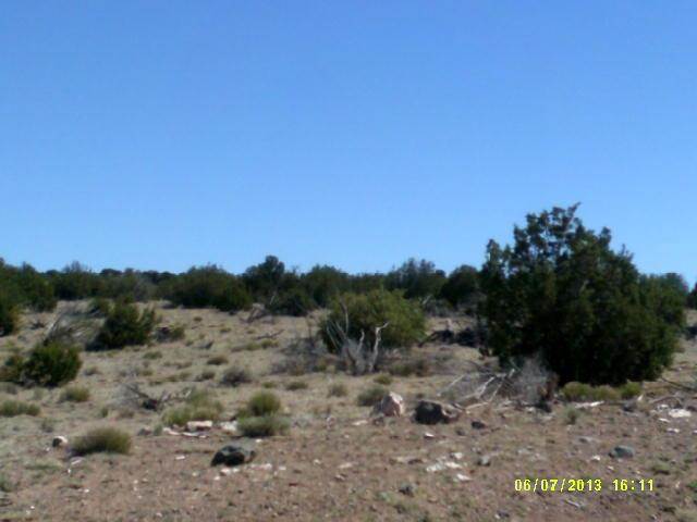 Lot 12 Windsor Valley Ranch Concho, AZ 85924 - Photo 4 of 7
