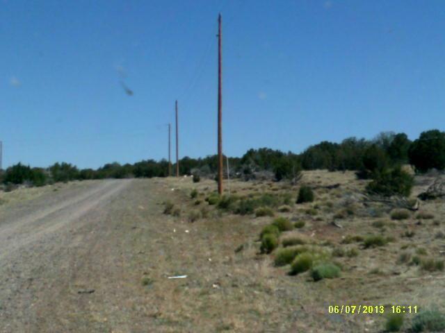 Lot 12 Windsor Valley Ranch Concho, AZ 85924 - Photo 5 of 7