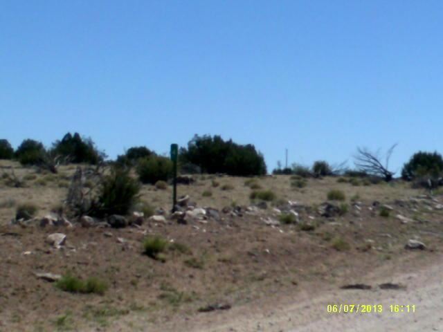 Lot 12 Windsor Valley Ranch Concho, AZ 85924 - Photo 7 of 7