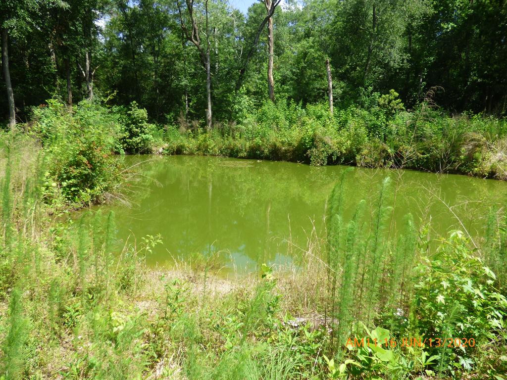 1615 Dairy Road Monetta, SC 29105 - Photo 30 of 30