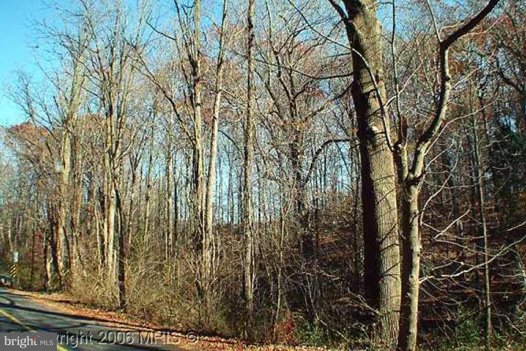1399 Macton Road Street, MD 21154 - Photo 6 of 6 Exterior (Main)