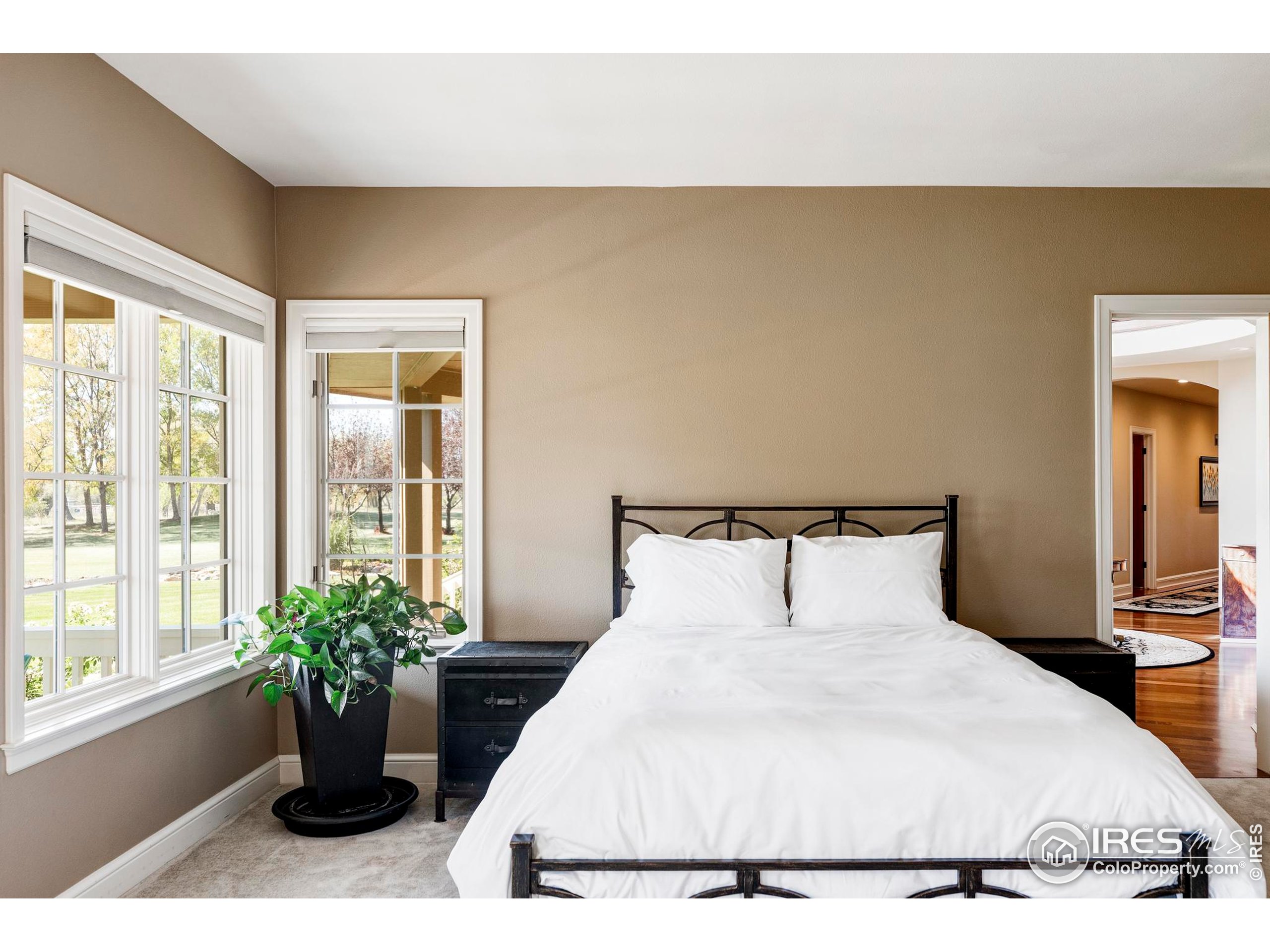 9402 Crystal Lane Longmont, CO 80503 - Photo 21 of 32 a bedroom with a bed and potted plant