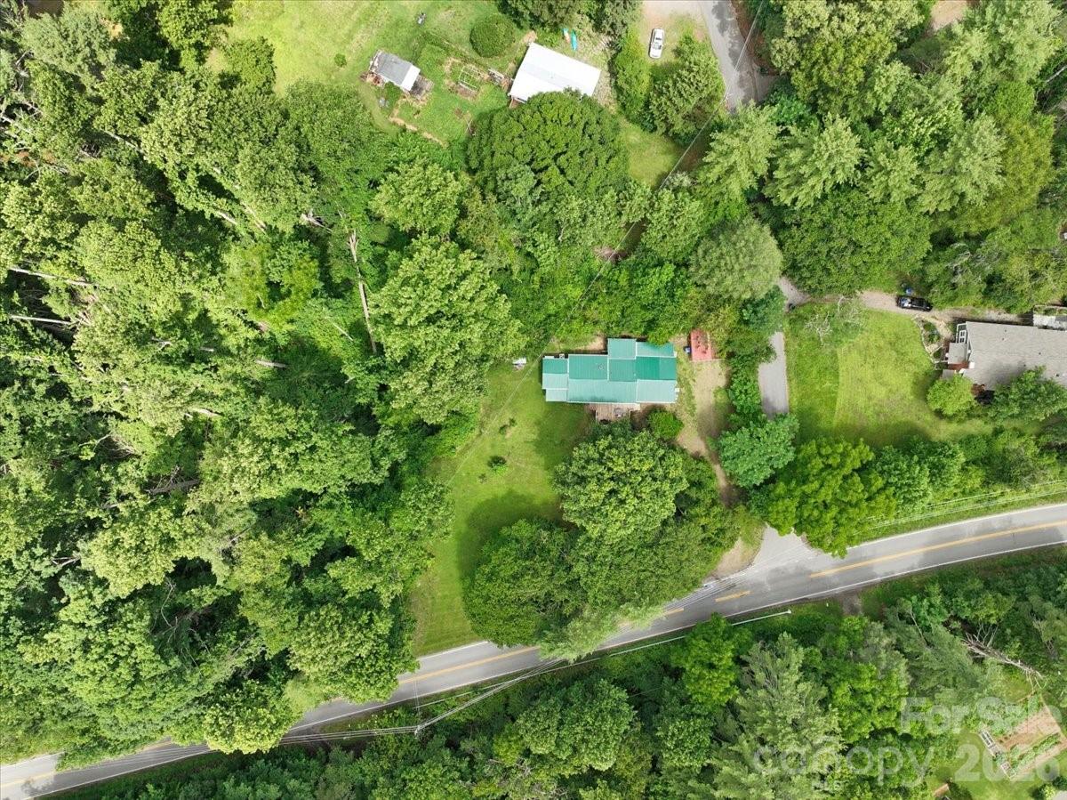 2 Ray Road Weaverville, NC 28787 - Photo 39 of 46