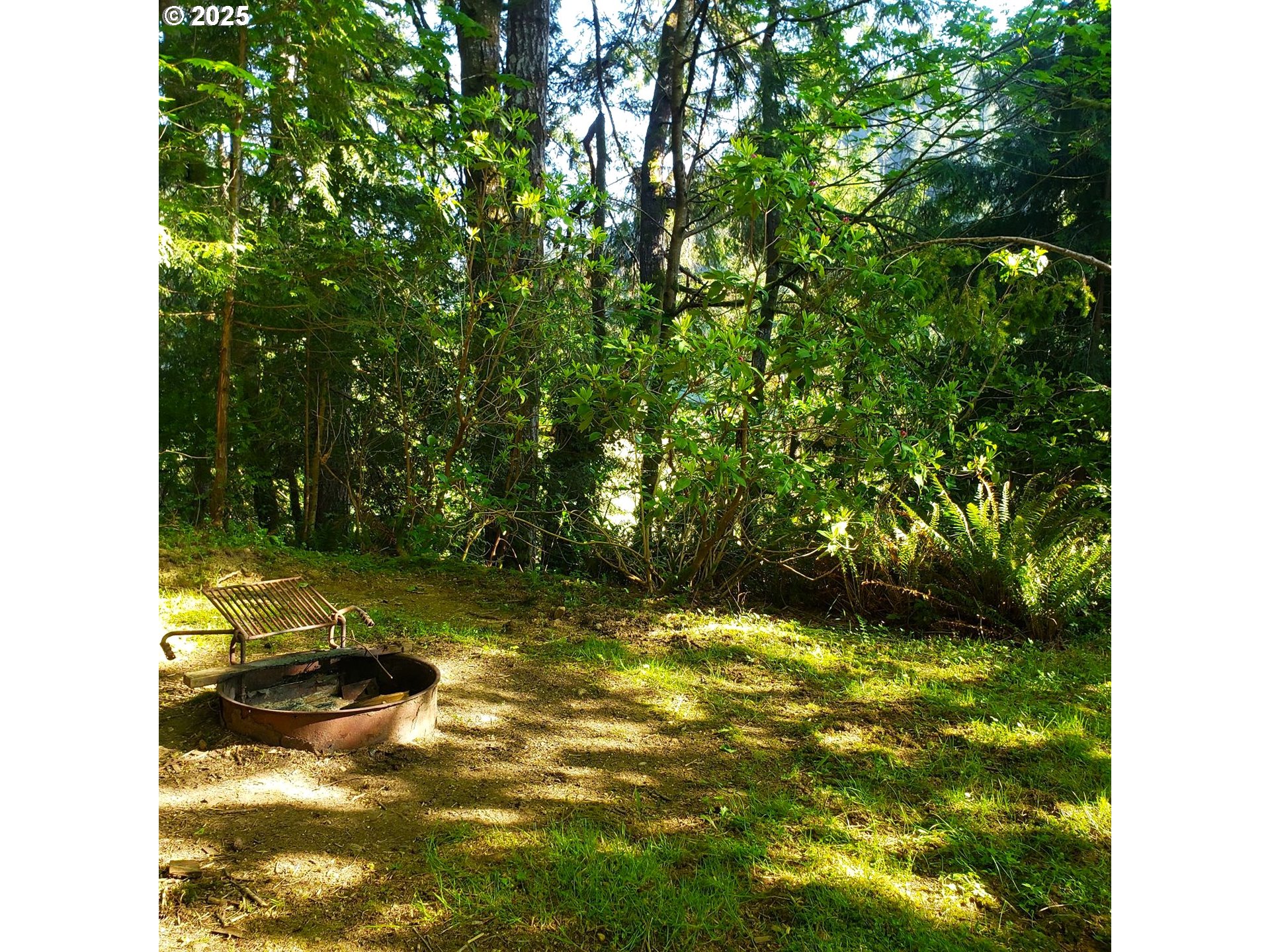 9247 Highway 126 Mapleton, OR 97453 - Photo 32 of 41 a view of swimming pool from a yard