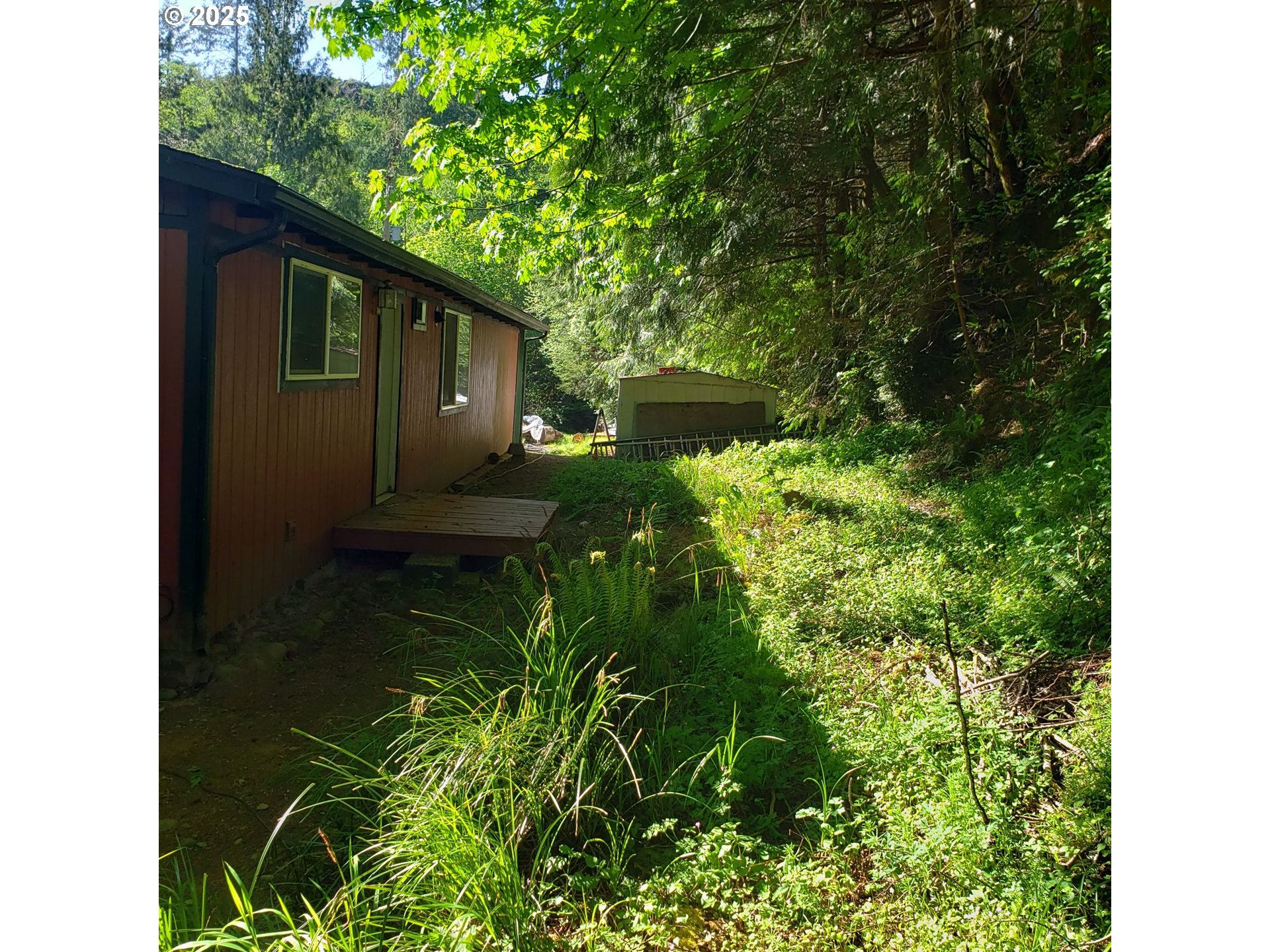 9247 Highway 126 Mapleton, OR 97453 - Photo 36 of 41 a backyard of a house with lots of green space