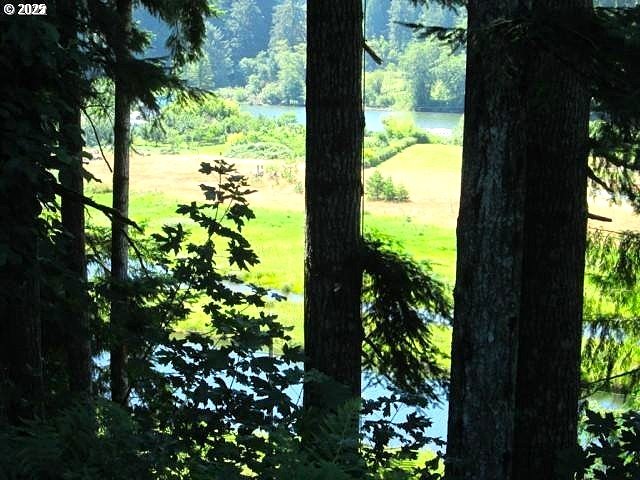 9247 Highway 126 Mapleton, OR 97453 - Photo 37 of 41 a view of a garden from a window