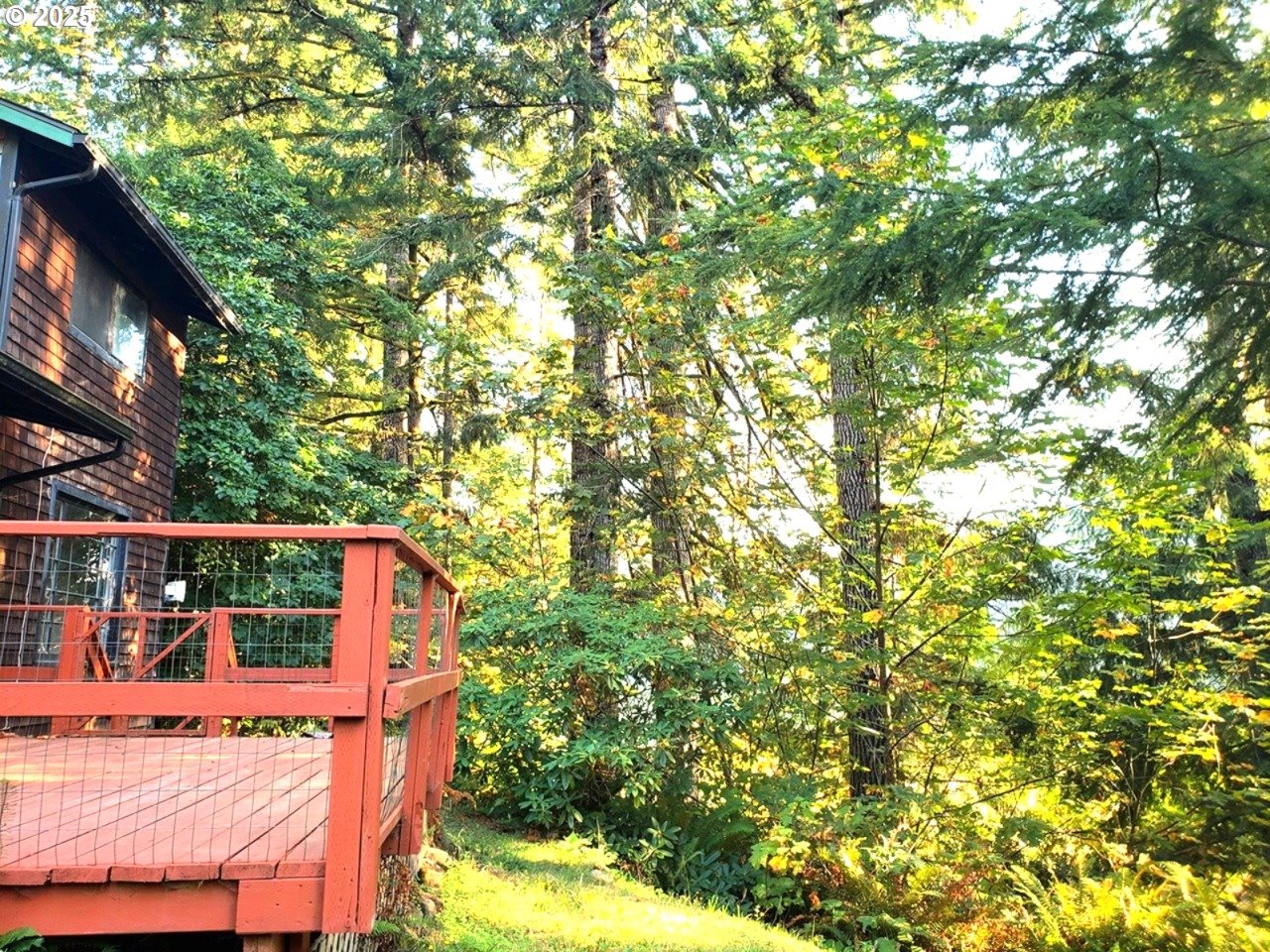 9247 Highway 126 Mapleton, OR 97453 - Photo 5 of 41 a view of balcony with two trees