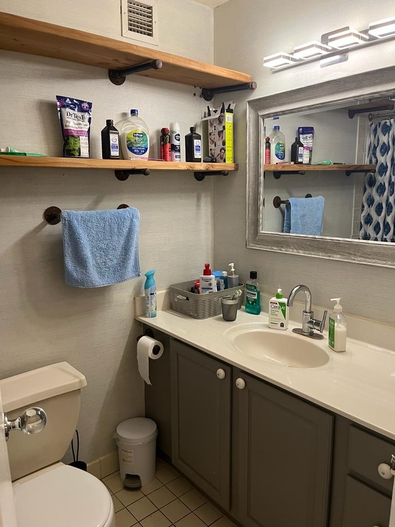 2605 South Indiana Avenue, Unit 606 Chicago, IL 60616 - Photo 11 of 34 a bathroom with a sink a mirror and a toilet
