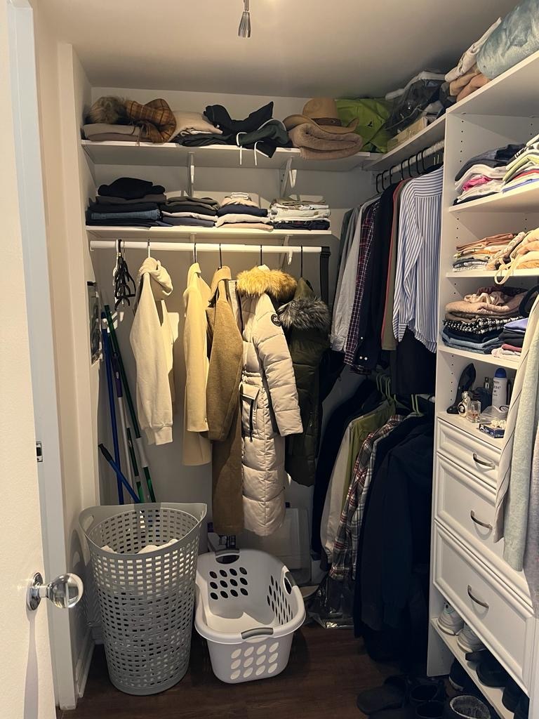 2605 South Indiana Avenue, Unit 606 Chicago, IL 60616 - Photo 12 of 34 a view of walk in closet with clothes and shoes