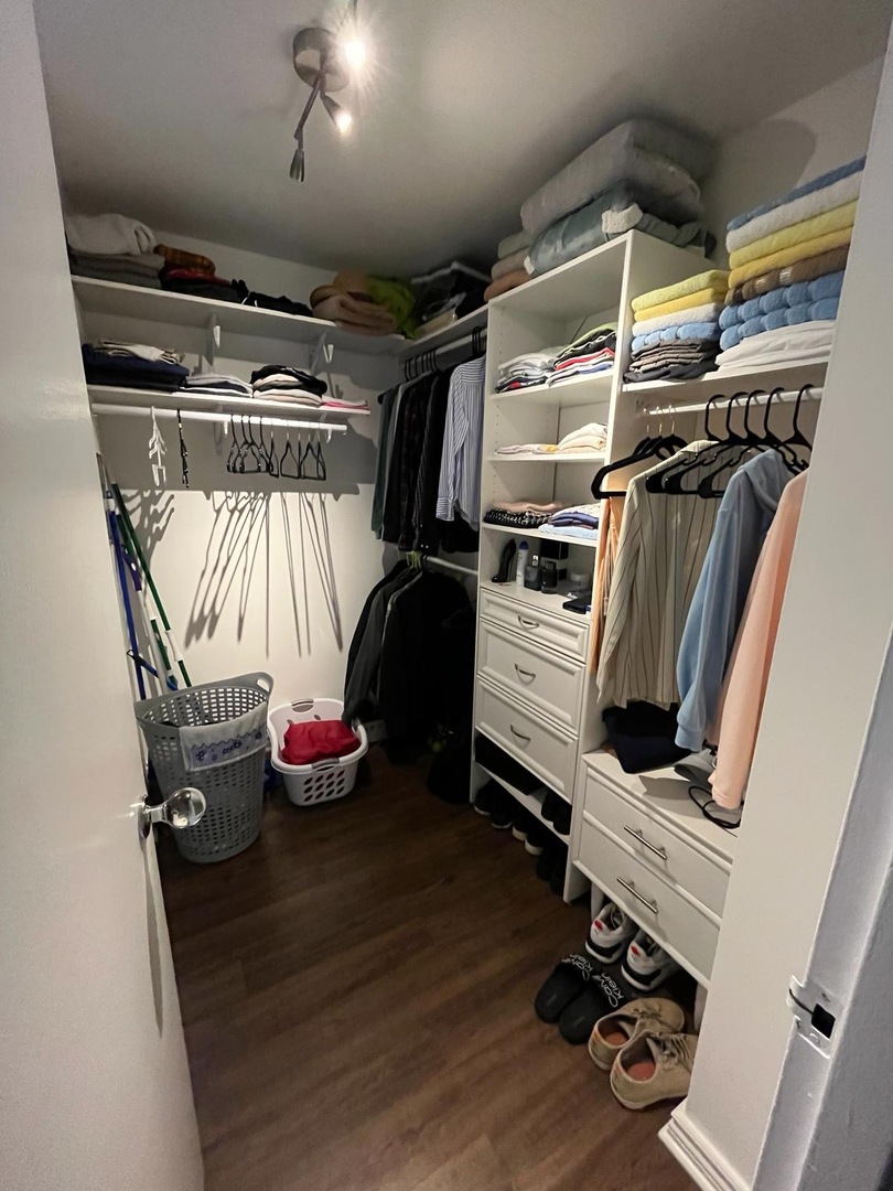 2605 South Indiana Avenue, Unit 606 Chicago, IL 60616 - Photo 16 of 34 a view of walk in closet with clothes and shoes