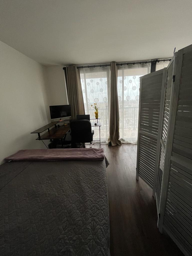 2605 South Indiana Avenue, Unit 606 Chicago, IL 60616 - Photo 4 of 34 a living room with furniture window and a kitchen view