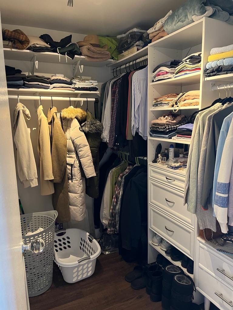 2605 South Indiana Avenue, Unit 606 Chicago, IL 60616 - Photo 8 of 34 a view of walk in closet with clothes and shoes