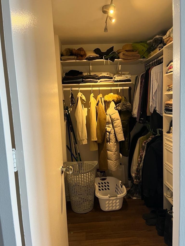 2605 South Indiana Avenue, Unit 606 Chicago, IL 60616 - Photo 9 of 34 a view of walk in closet with clothes and shoes