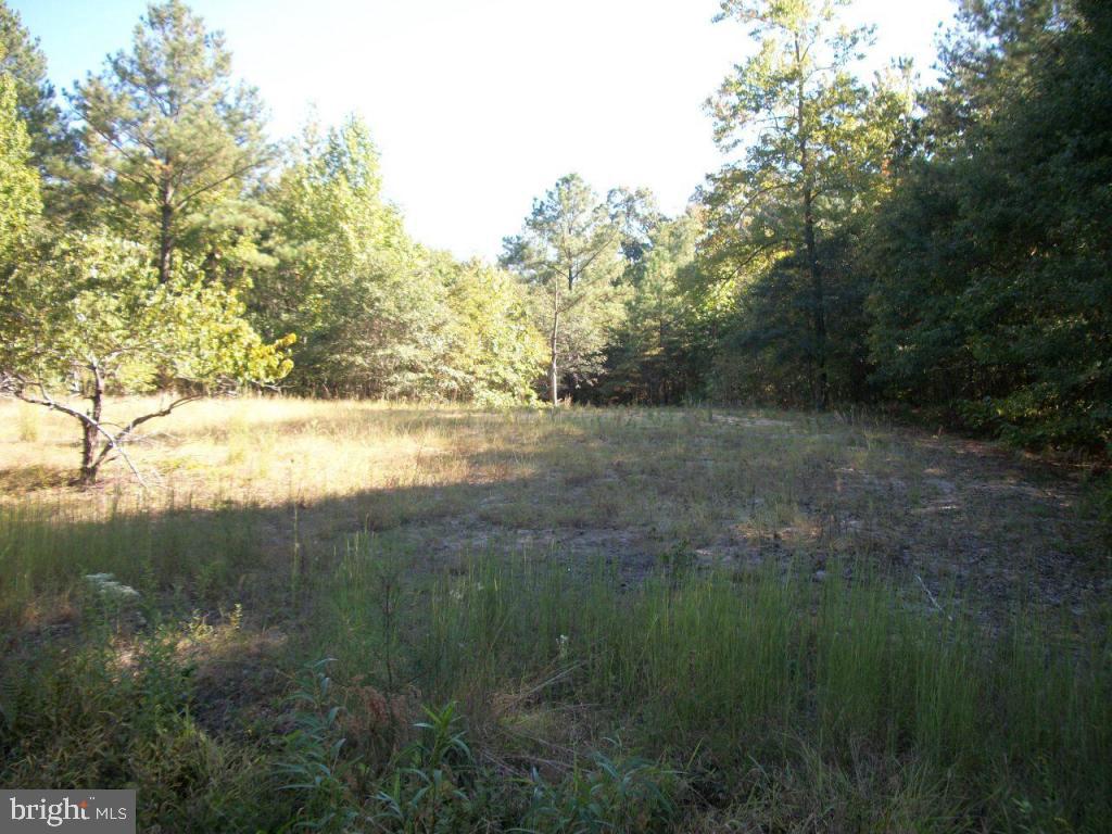 8365 Hurleys Neck Road Mardela Springs, MD 21837 - Photo 3 of 13 Gallery Image 3