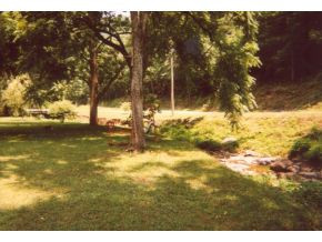 3446 Fowlers Branch Road Hiltons, VA 24258 - Photo 8 of 12 Photo 8