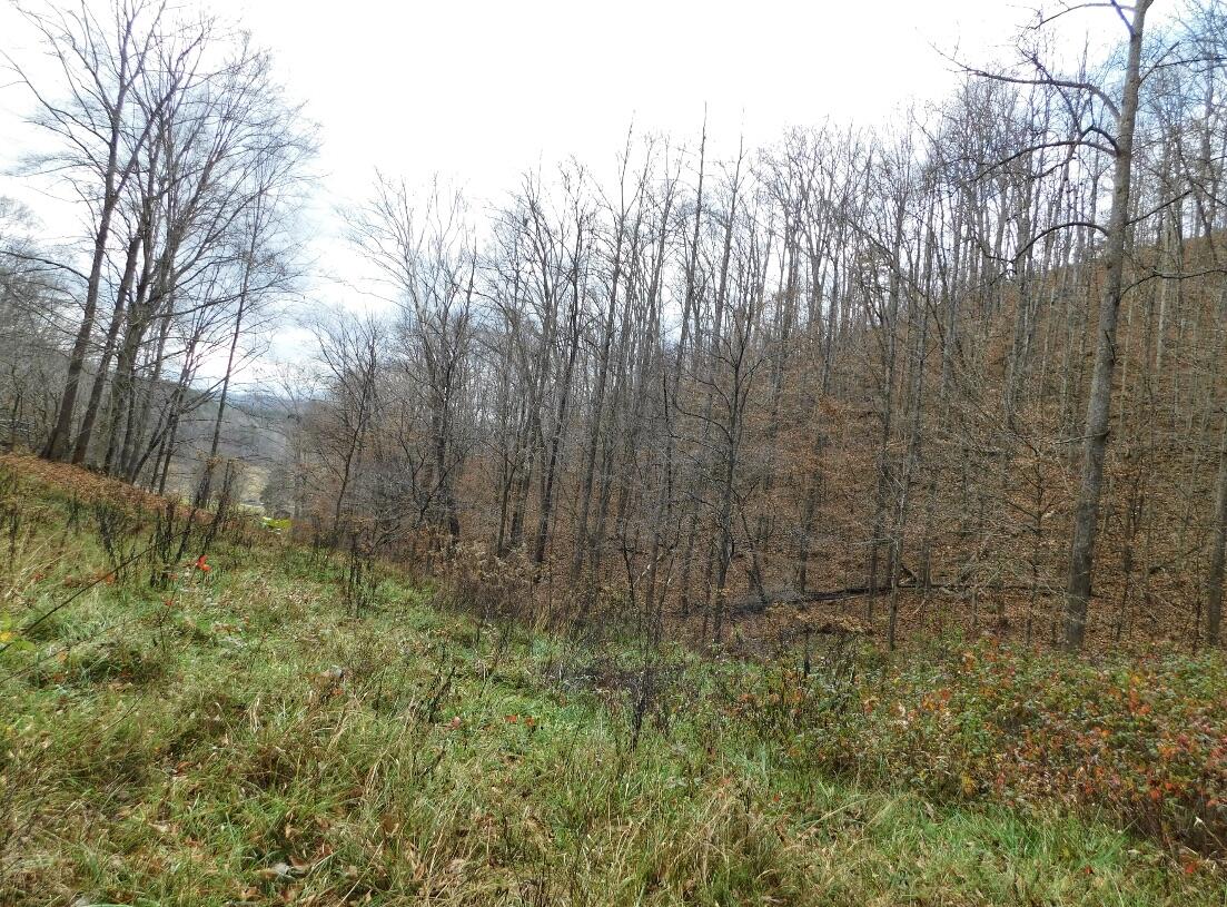 8690 Beattyville Road Jackson, KY 41339 - Photo 107 of 143 22237430-11D6-4495-9276-6F7F224139BF