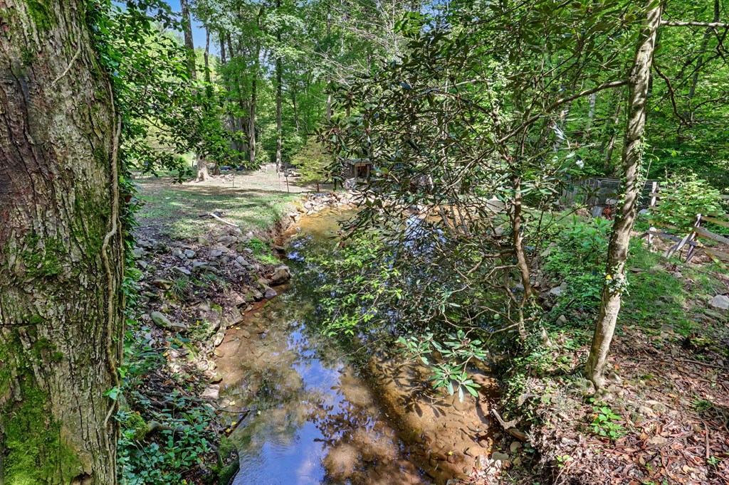 476 Claude Rogers Road Marble, NC 28905 - Photo 4 of 35