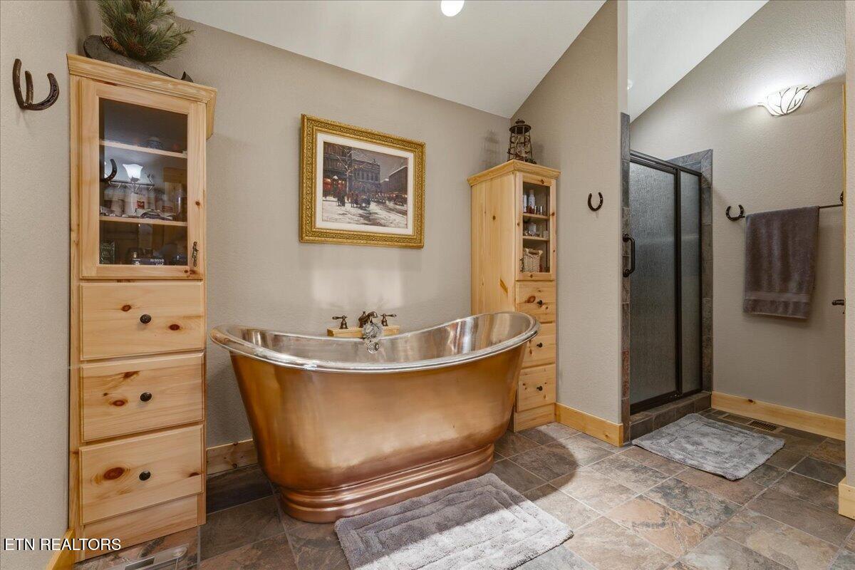 2732 Cayanne Road Cosby, TN 37722 - Photo 20 of 55 Primary Bath