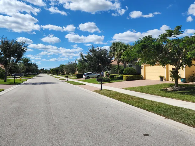 a view of a backyard with a tree