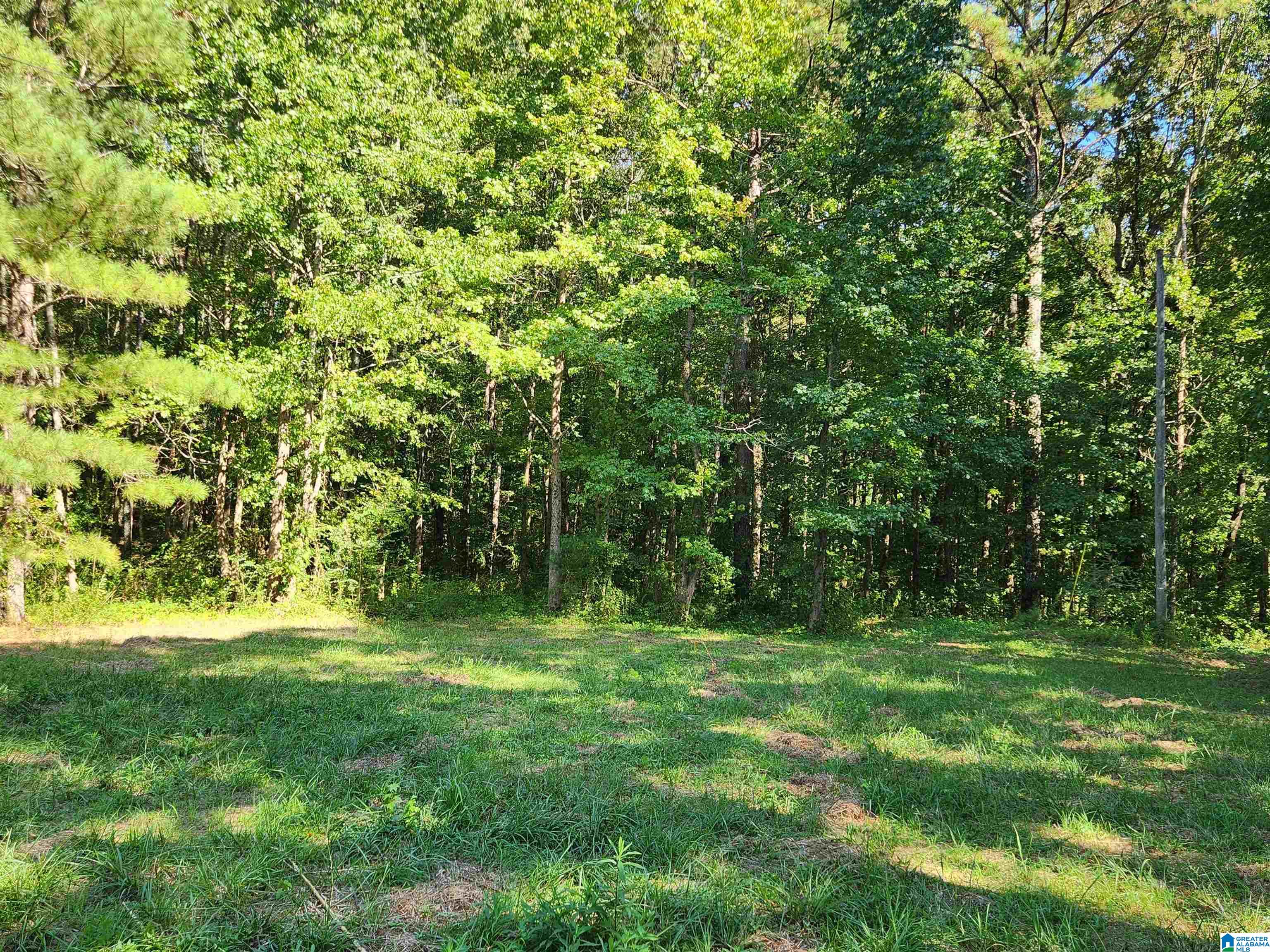 14843 Gallant Road Gallant, AL 35972 - Photo 15 of 100