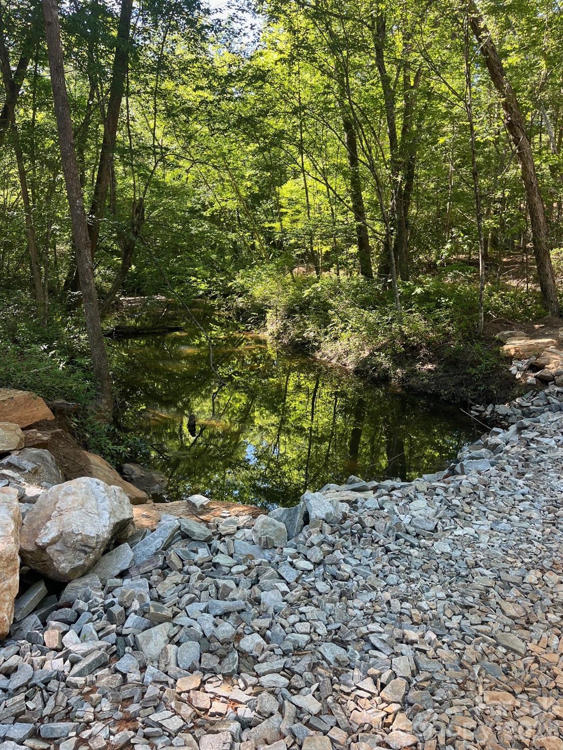 Tbd Vein Mountain Road, Unit 20 Nebo, NC 28761 - Photo 6 of 17