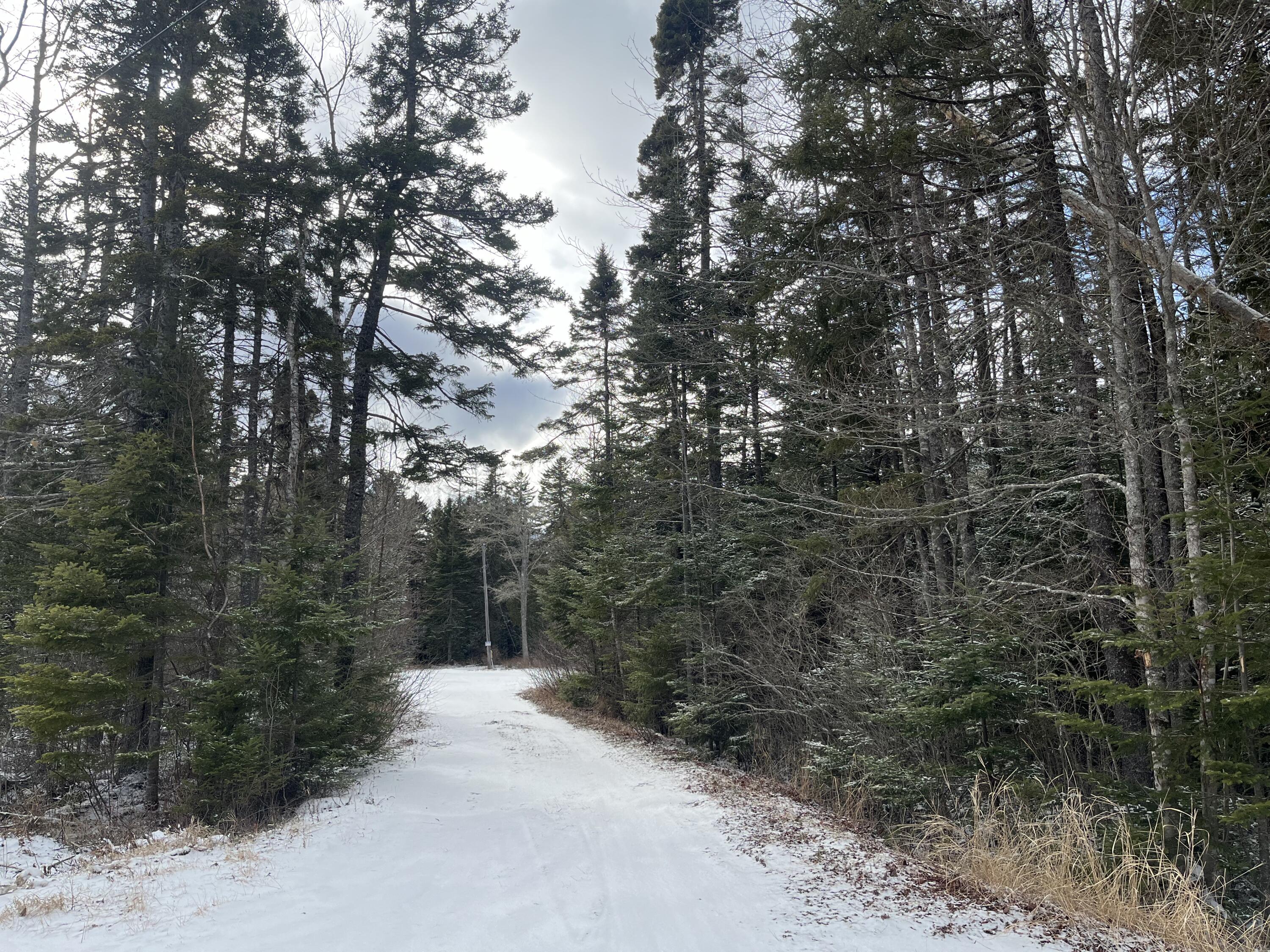 93 Goods Point Road Steuben, ME 04680 - Photo 1 of 40 IMG_8614