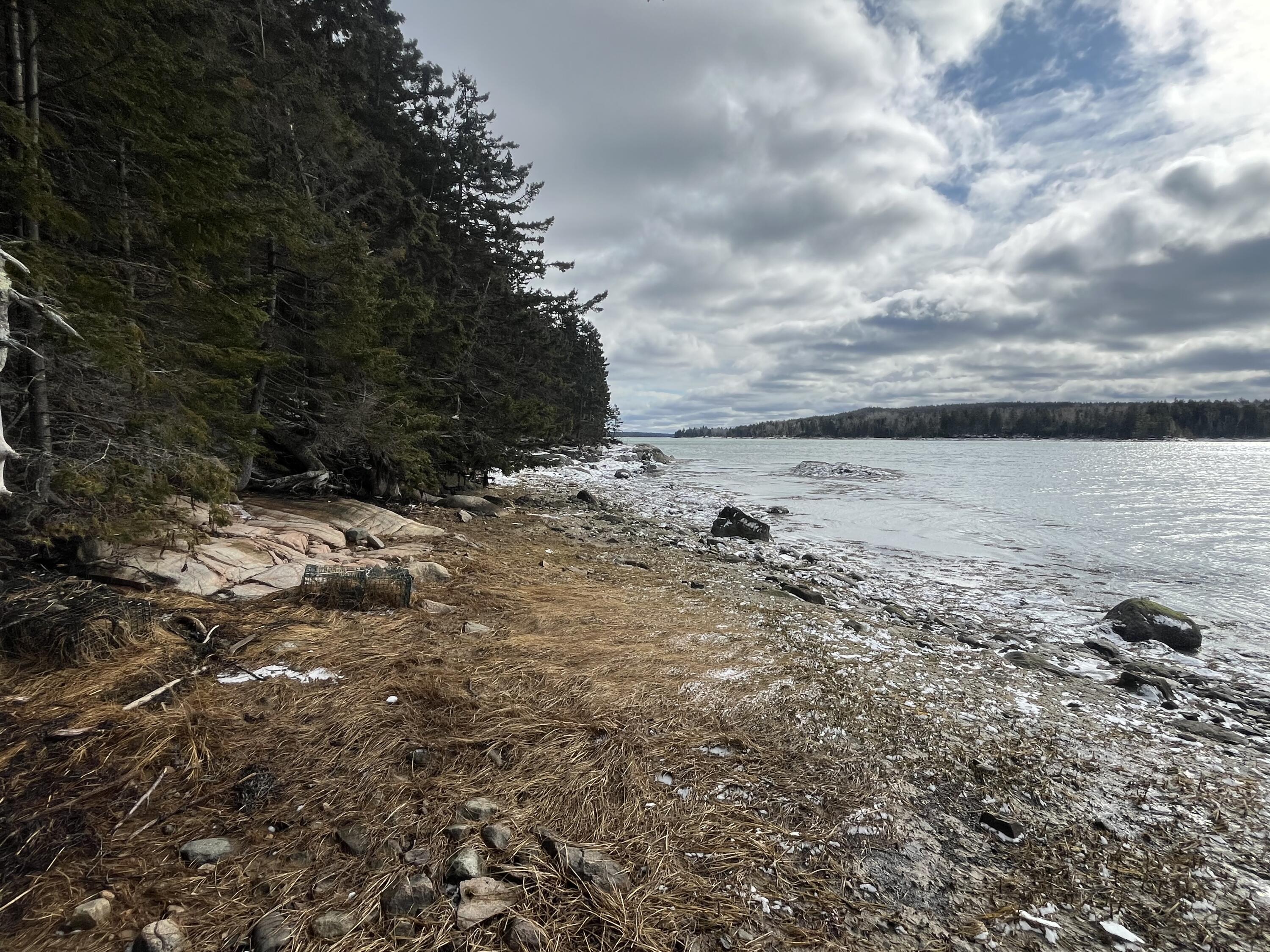 93 Goods Point Road Steuben, ME 04680 - Photo 38 of 40 IMG_8623