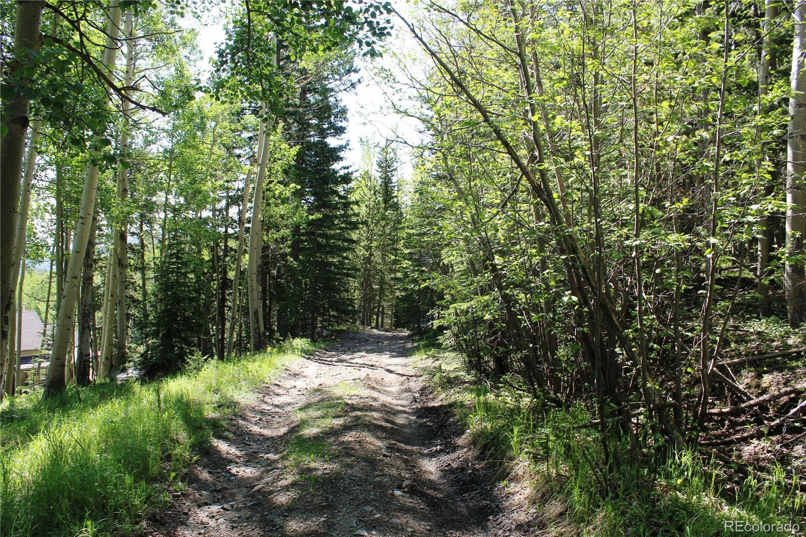 700 Long Road Idaho Springs, CO 80452 - Photo 1 of 16 Gallery Image 1