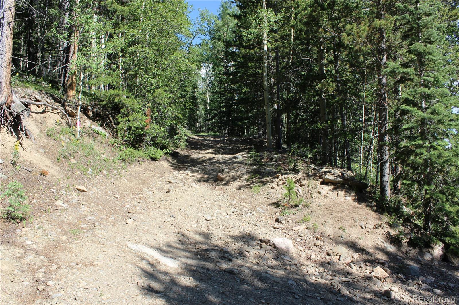 700 Long Road Idaho Springs, CO 80452 - Photo 15 of 16 Gallery Image 15