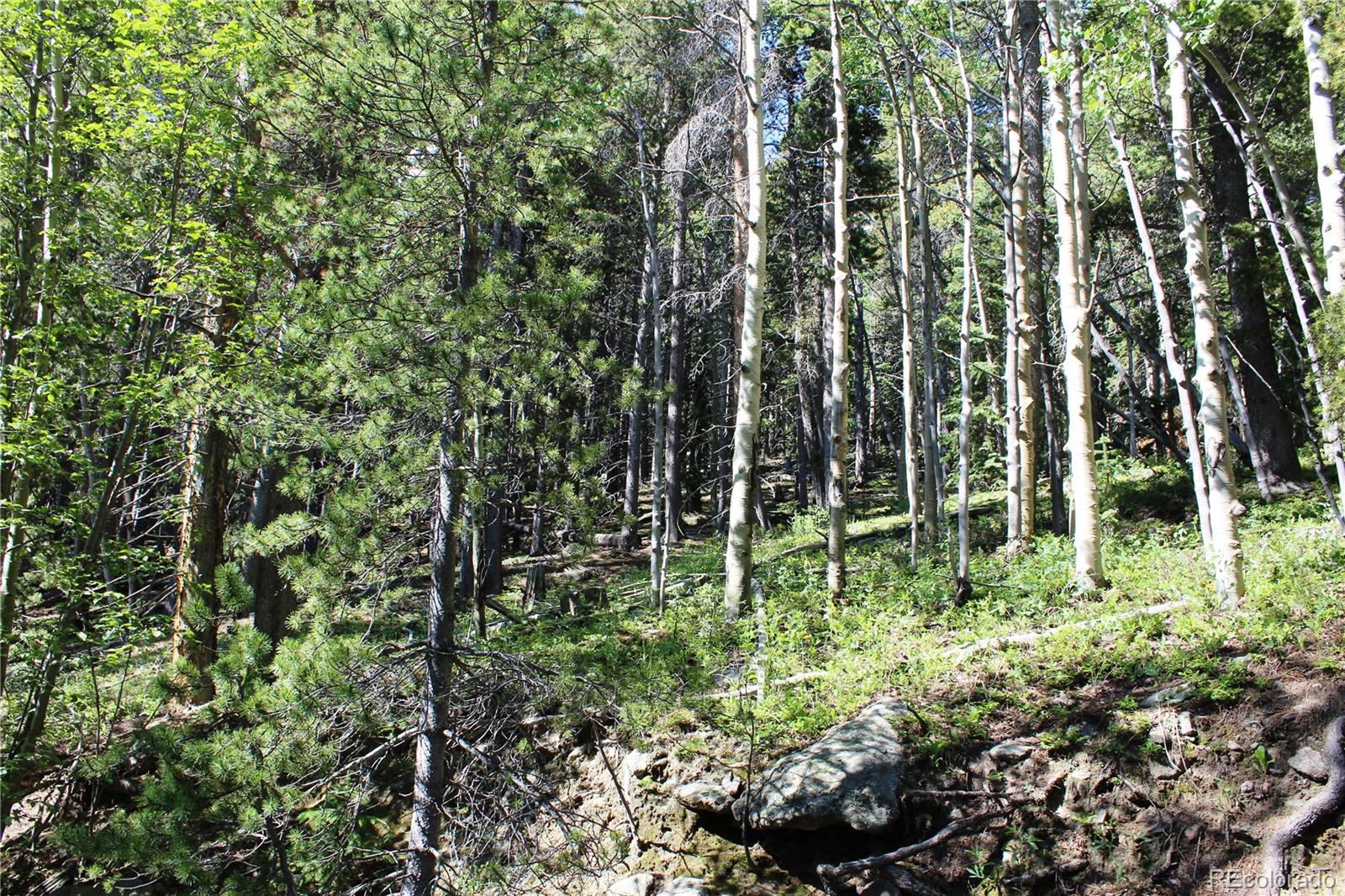 700 Long Road Idaho Springs, CO 80452 - Photo 3 of 16 Gallery Image 3