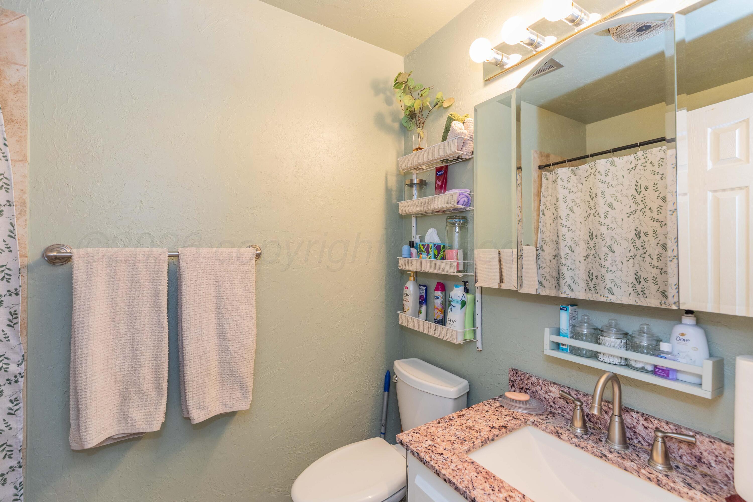 4800 South Austin Street Amarillo, TX 79110 - Photo 13 of 29 a bathroom with a sink toilet and shower