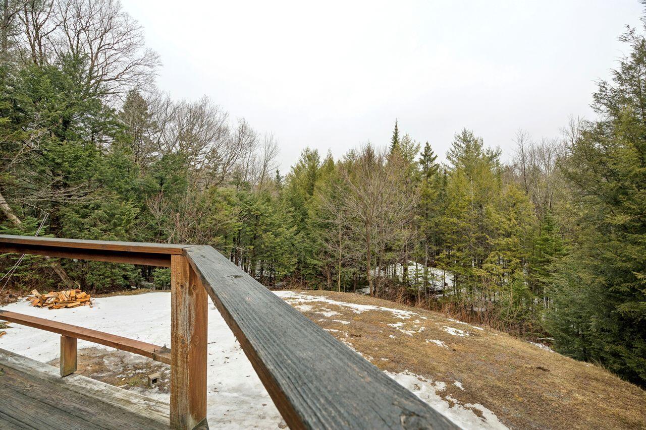 15 Macklin Lane Stoneham, ME 04231 - Photo 31 of 38 Backyard
