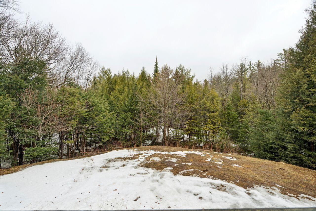 15 Macklin Lane Stoneham, ME 04231 - Photo 32 of 38 Backyard