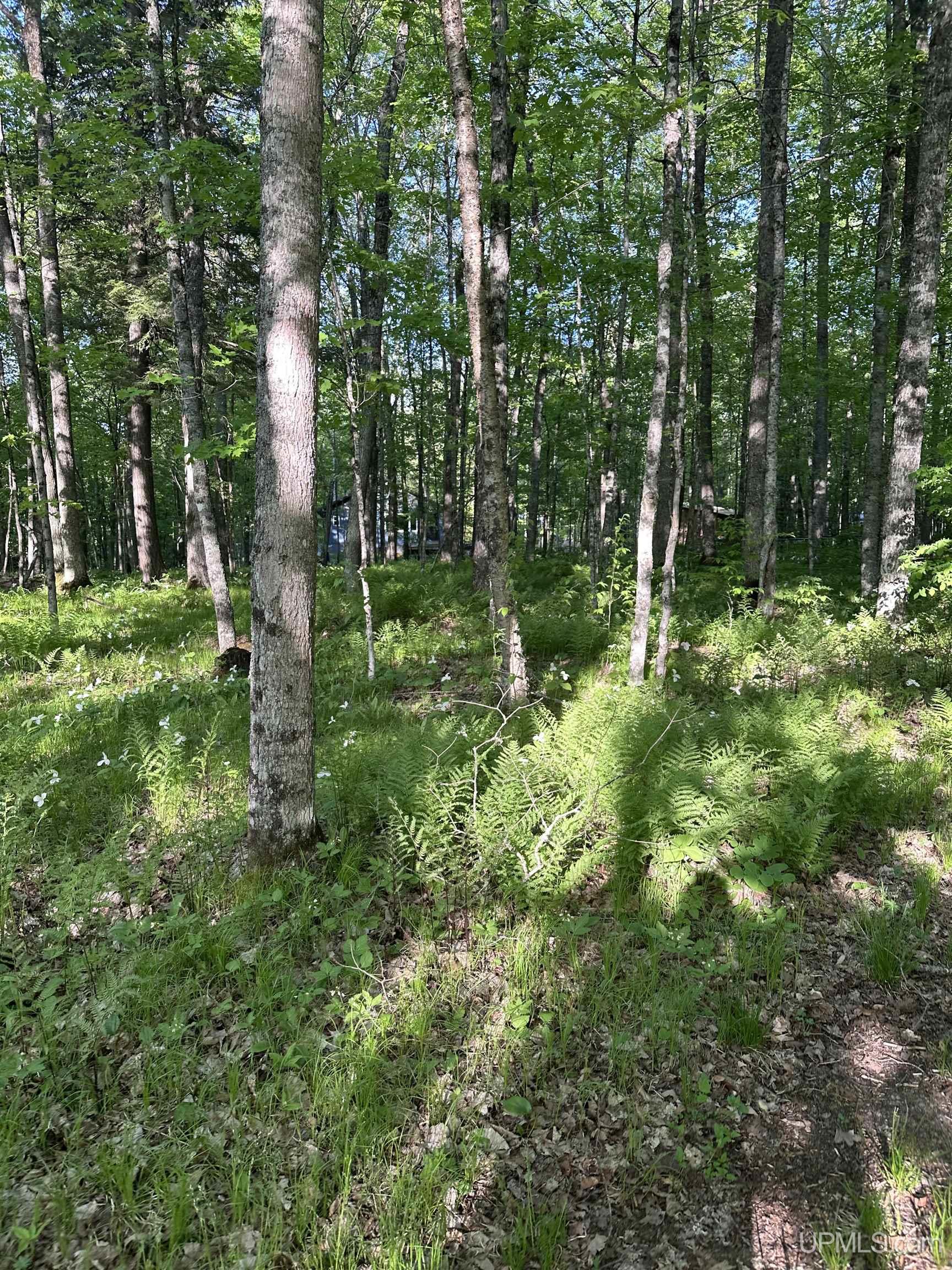 549 Sheltrow Road Crystal Falls, MI 49920 - Photo 21 of 35